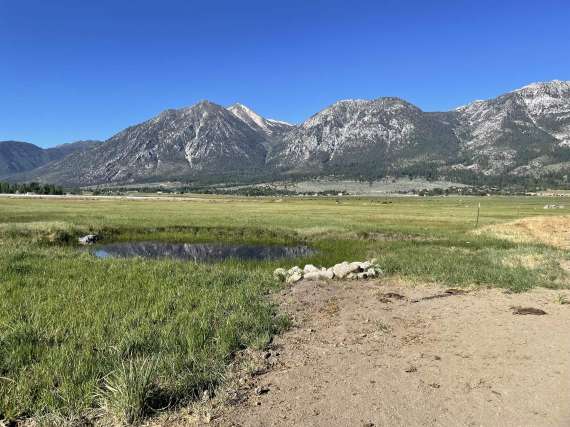 21 Irrigated Acres at 1175 Mottsville Meadows Way, Gardnerville, Nevada