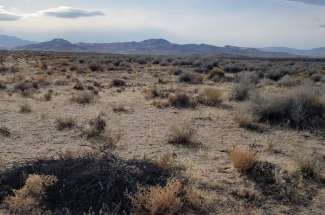 Vacant Land with Views of Lake Lahontan in Silver Springs