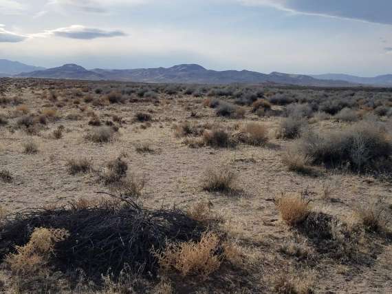 Vacant Land with Views of Lake Lahontan in Silver Springs